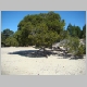 DSC05579.JPG