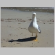 DSC05622.JPG