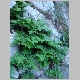 DSC01277.JPG