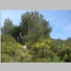 2015-04-10-sanary-canal-de-provence-02-2.jpg