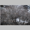 DSC_17866.JPG