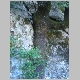DSC05075.JPG