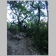 DSC05085.JPG