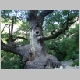 DSC05087.JPG