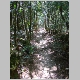 DSC05111.JPG