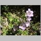 DSC05113.JPG