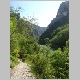 DSC05121.JPG