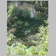 DSC05158.JPG