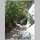 DSC05240.JPG