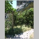 DSC05353.JPG