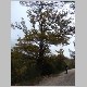 DSC09635.JPG