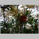 DSC09659.JPG