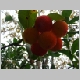DSC09660.JPG