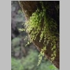 signes-latay-cascade-ruisseau-20.jpg