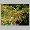 2018-06-12-rando-signes-latay-gue-29.jpg