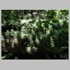 2018-06-12-rando-signes-latay-gue-50.jpg