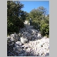 DSC01863.JPG
