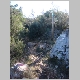 DSC00676.JPG