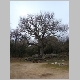 DSC04905.JPG