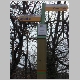 DSC04915.JPG