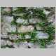 DSC04422.JPG