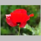 DSC04433.JPG