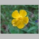 DSC04459.JPG