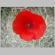 DSC04475.JPG