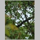 DSC04489.JPG