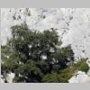 verdon-sentier-des-pecheurs-24.jpg