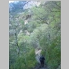 verdon-sentier-des-pecheurs-36-3.jpg