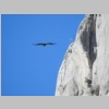 verdon-sentier-des-pecheurs-53.jpg
