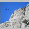 verdon-sentier-des-pecheurs-55.jpg