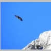 verdon-sentier-des-pecheurs-58.jpg
