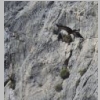 verdon-sentier-des-pecheurs-59.jpg