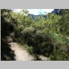verdon-sentier-des-pecheurs-87.jpg