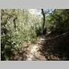 verdon-sentier-des-pecheurs-88.jpg