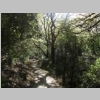 verdon-sentier-des-pecheurs-89.jpg