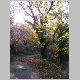 DSC00457.JPG