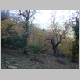DSC00459.JPG