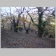 DSC00463.JPG