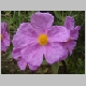 DSC04512.JPG
