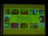 Dsc01144.jpg (43700 octets)