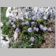 DSC05424.JPG
