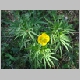 DSC05429.JPG
