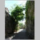 DSC05442.JPG