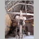 CIMG0819.JPG
