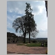 CIMG0878.JPG