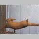 CIMG0896.JPG