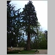 DSC03684.JPG